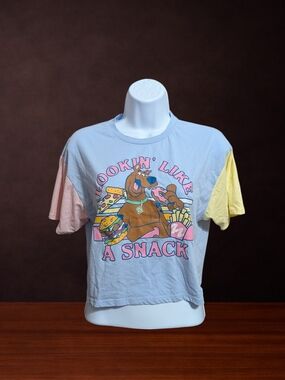 Graphic Crop Tee - Light Blue with Pastel Sleeves